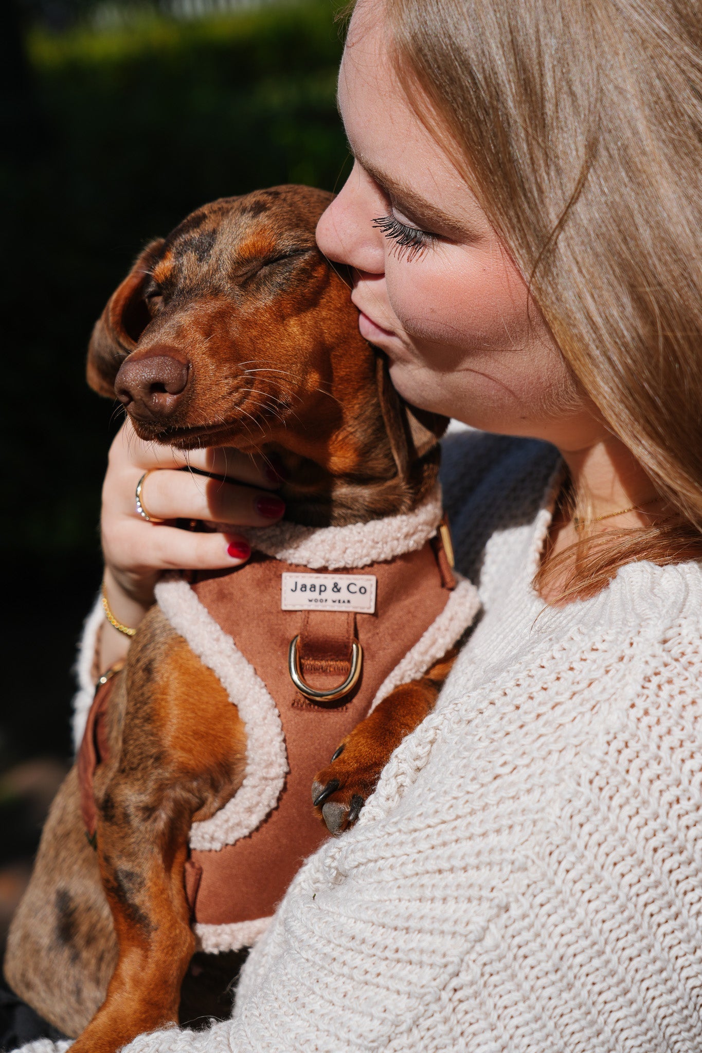 Hulphonden: onmisbare helden in het dagelijks leven