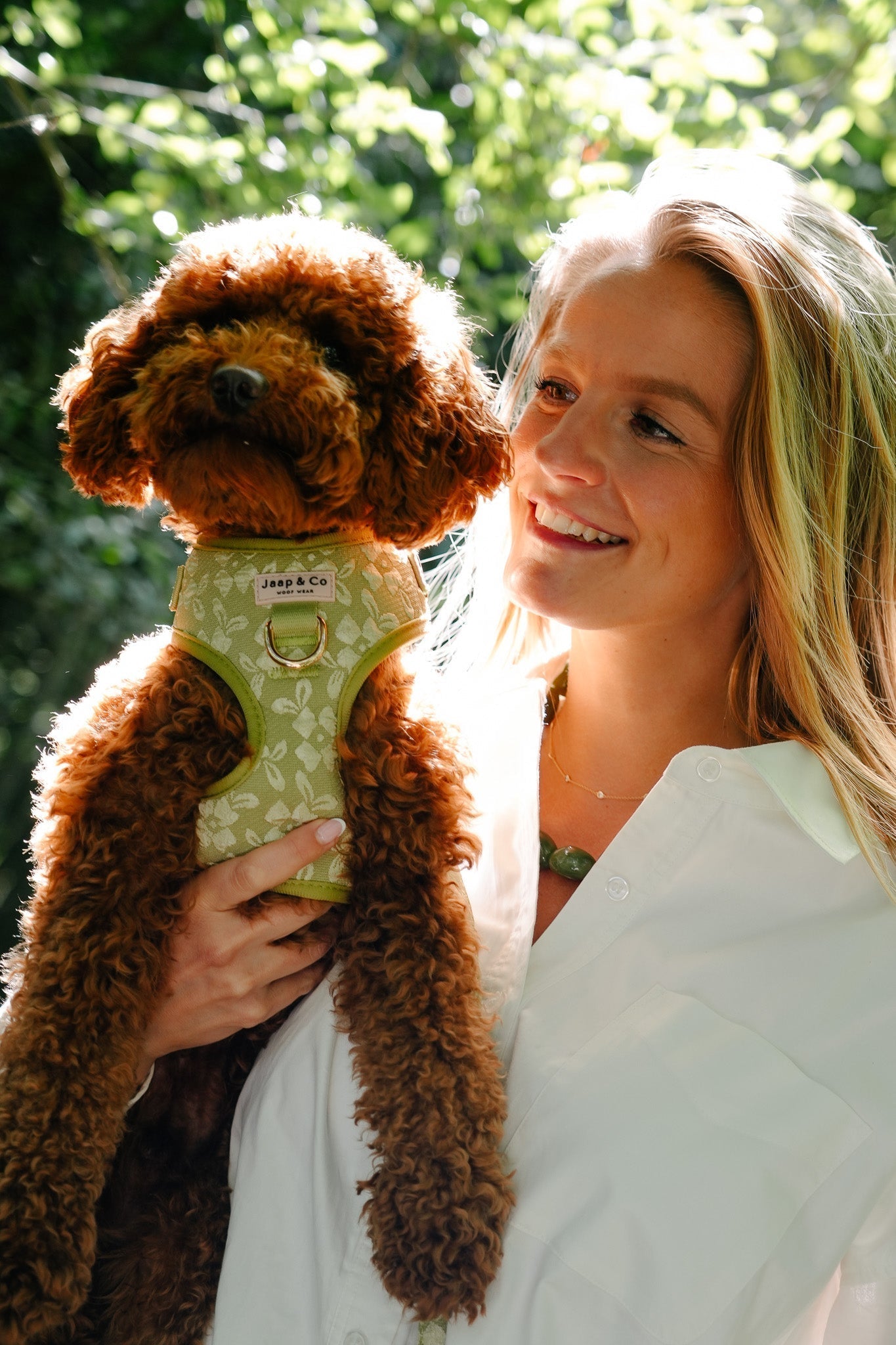 Met je hond op avontuur: de leukste hondvriendelijke dierentuinen