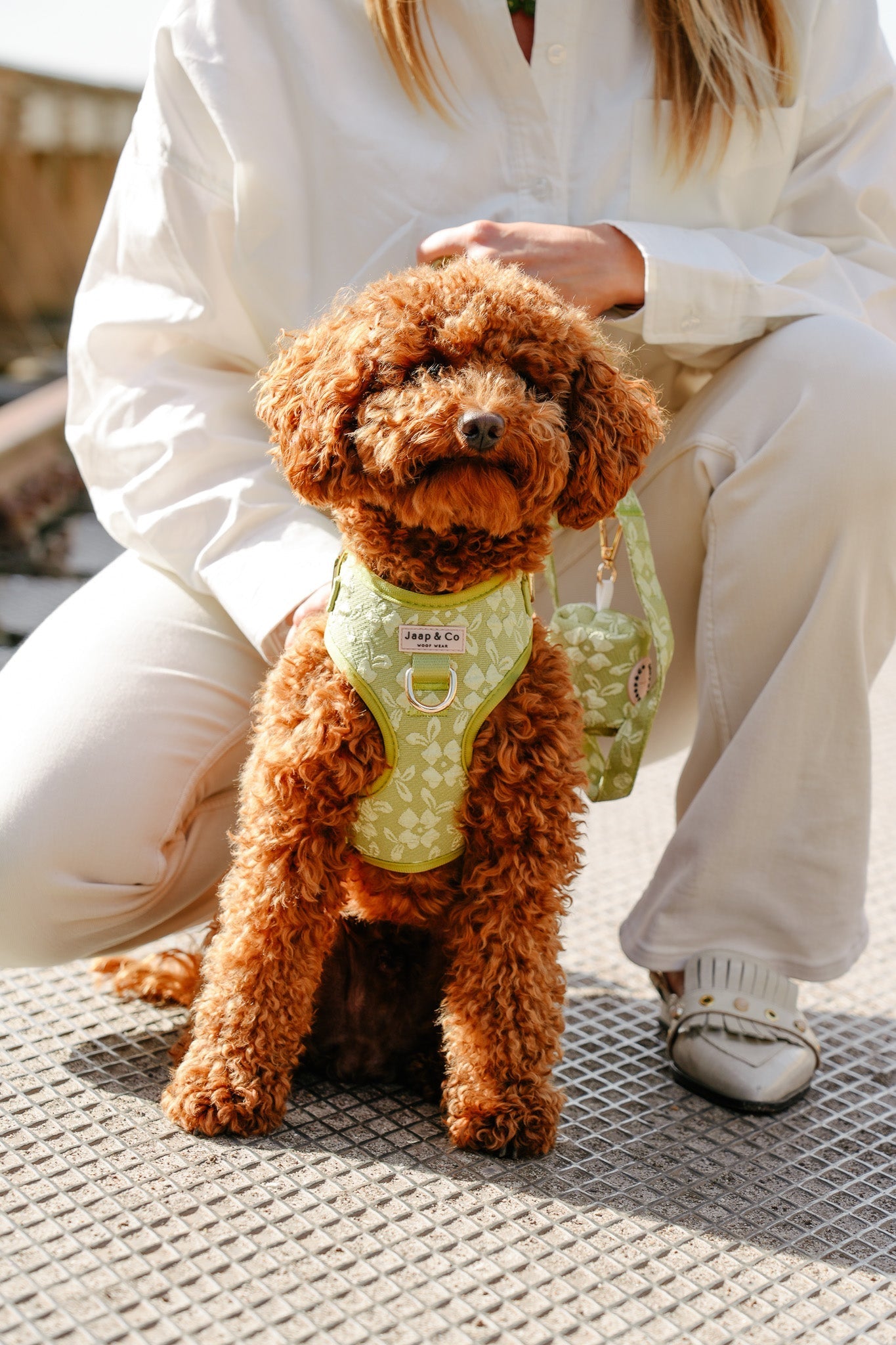 Pompoenen, pootjes & plezier: Halloweenactiviteiten met je hond