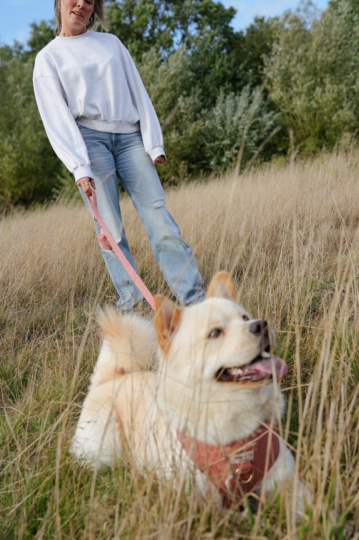 Pootjes in actie: de leukste hondenevenementen van oktober tot december 2025