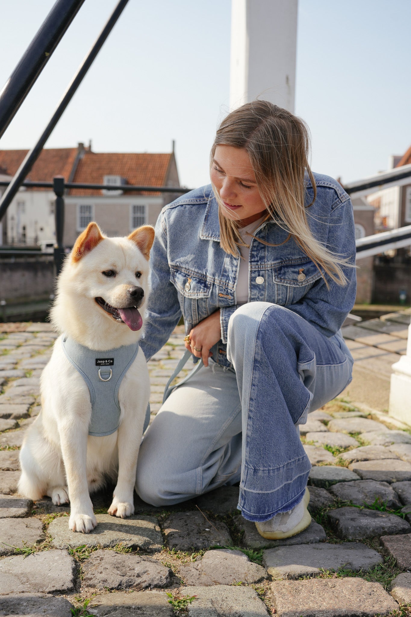 Boys Collection: stoere en tijdloze hondenaccessoires voor het voorjaar