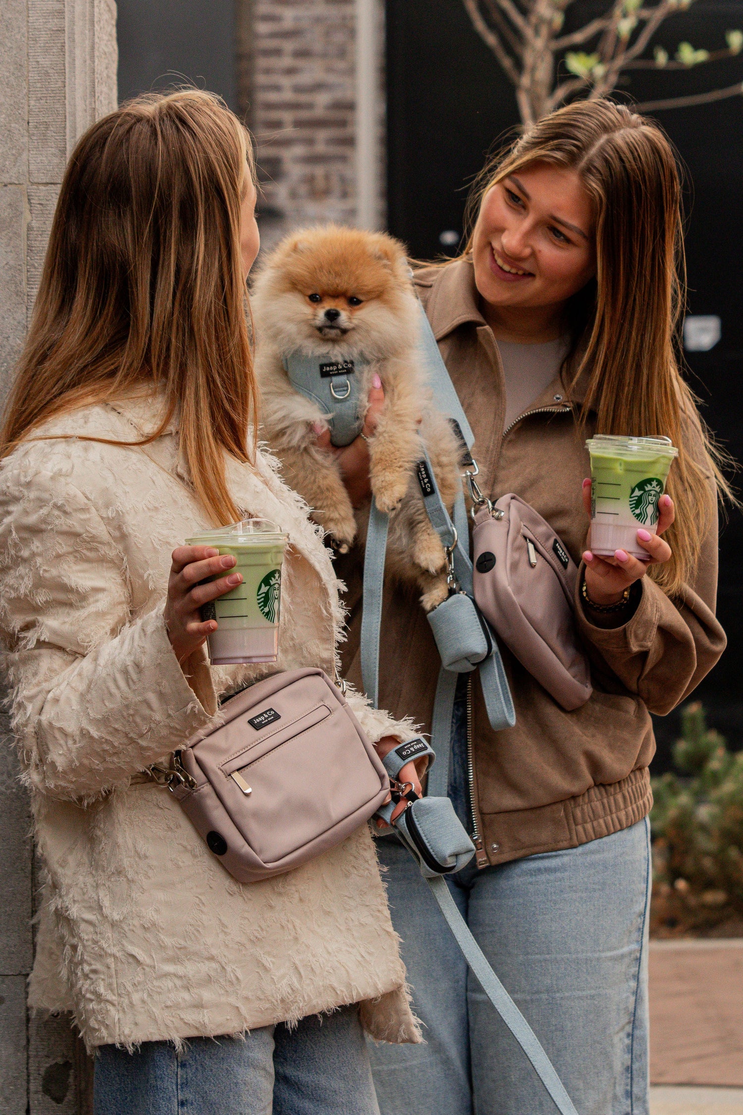 De beste hondvriendelijke restaurants & terrassen in Amsterdam (2026)