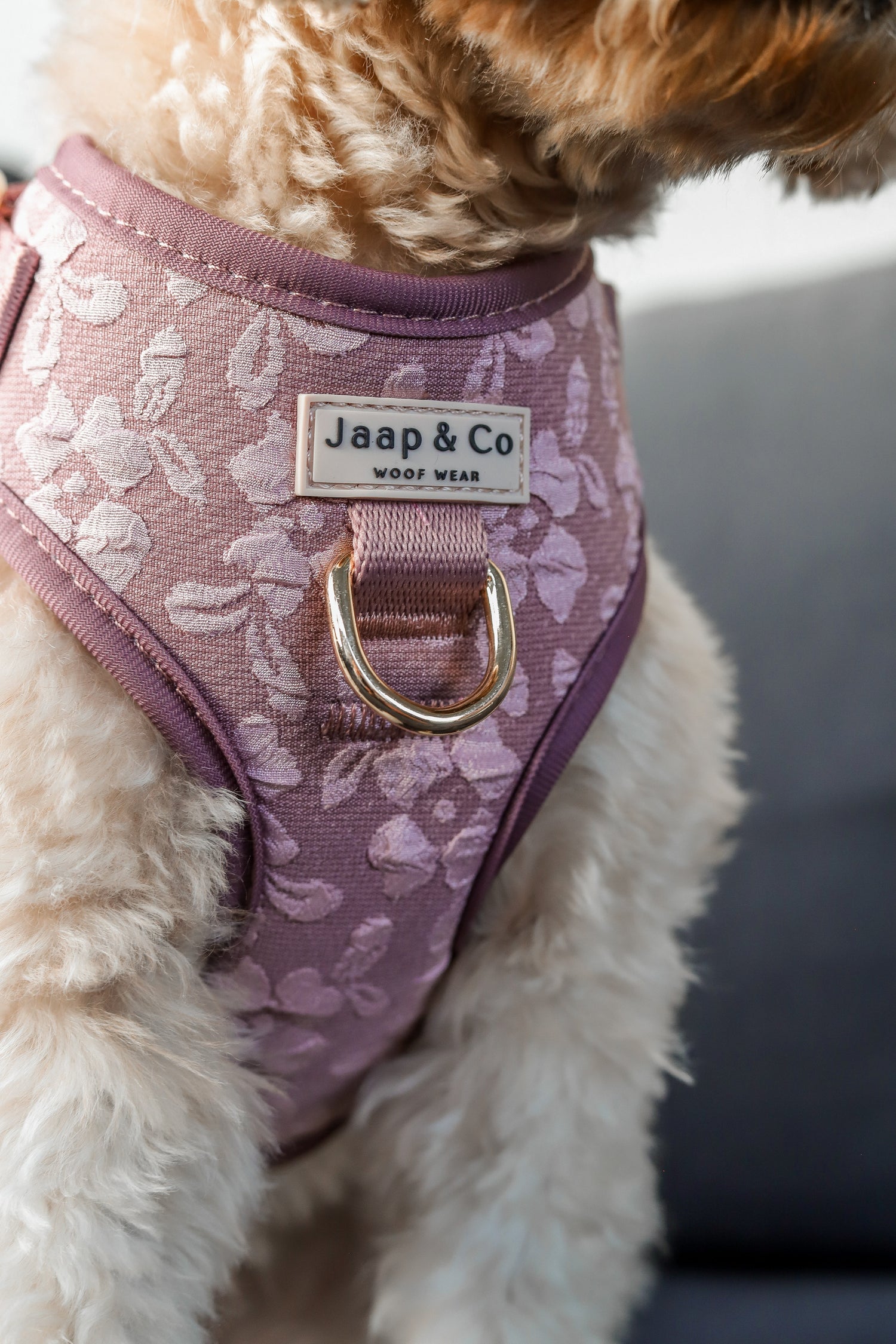 Anti-trek hondentuigje met borst D-ring | Jaap&Co Woof Wear