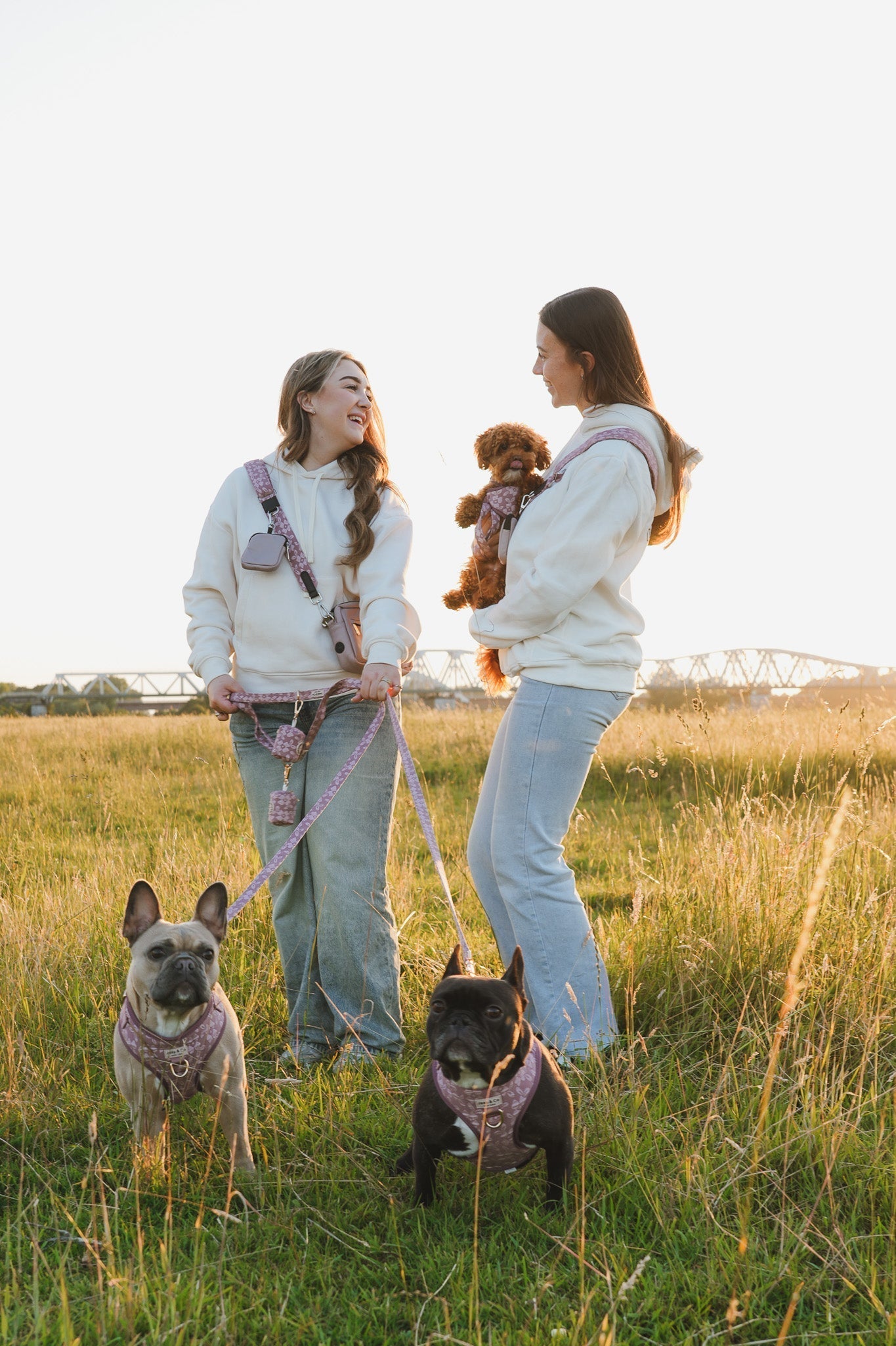 Leuke zomerwandelingen met je hond in juni | Jaap & Co woof wear