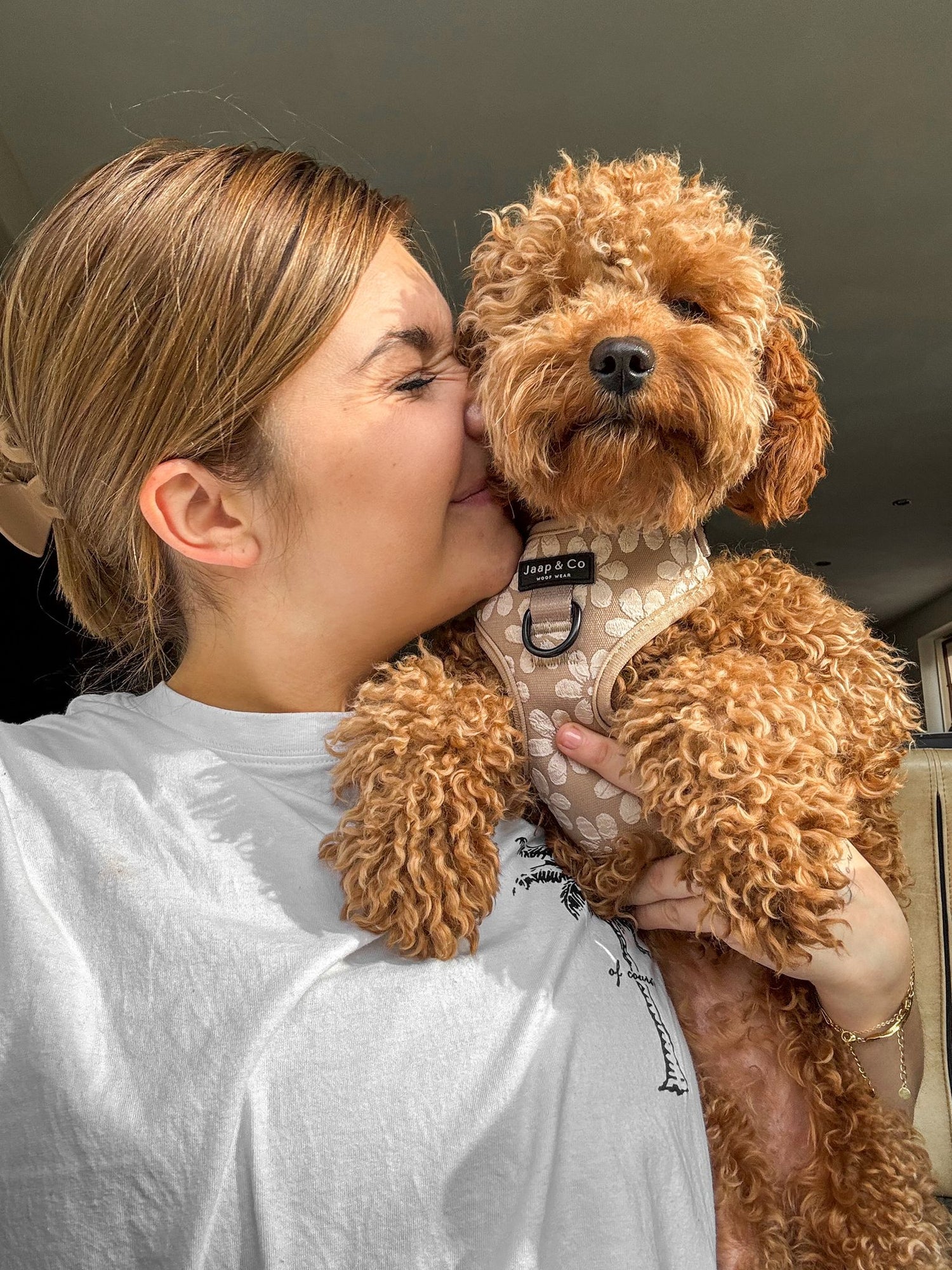 Hondentuigje Toypoedel Dogmom outfit matchen met je hond