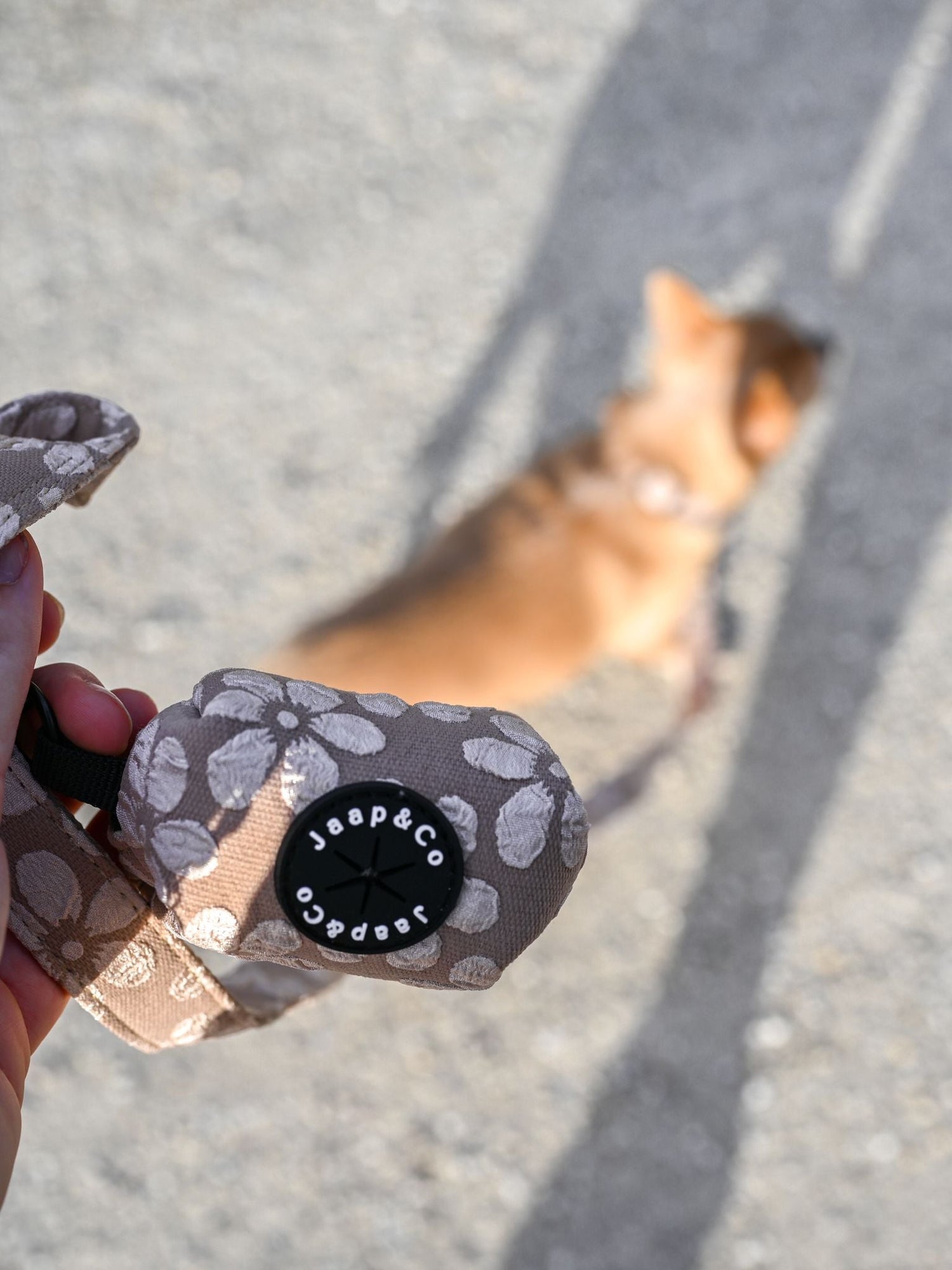 De Beste Hondenaccessoires voor Elk Ras: Een Gids voor Je Hond
