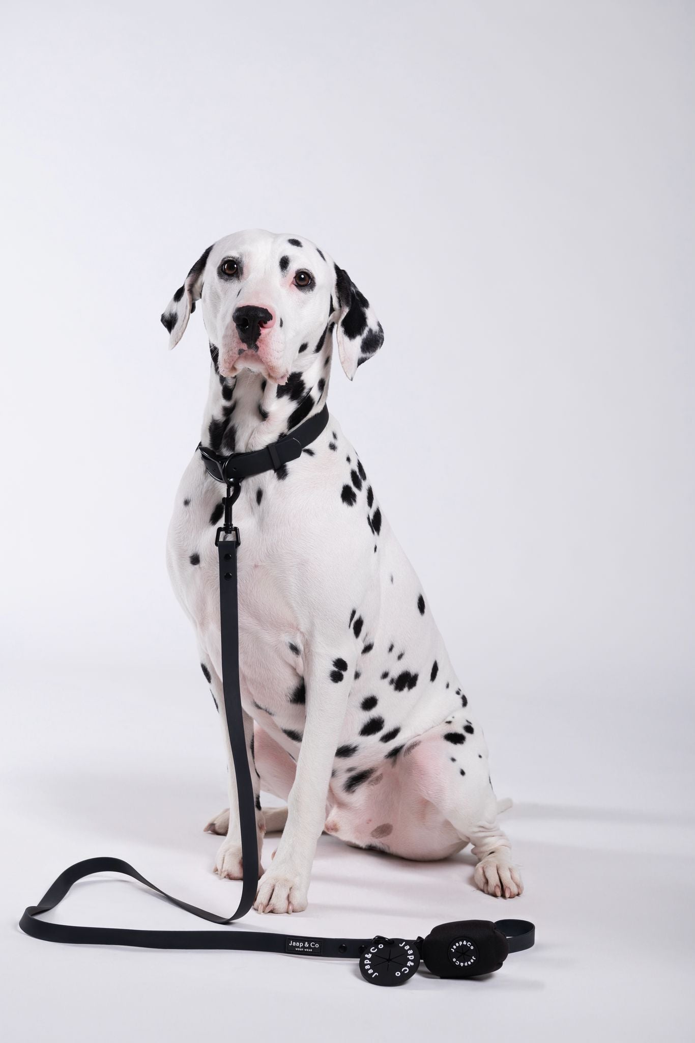 Halsband vs. tuigje: wat is beter voor jouw hond?