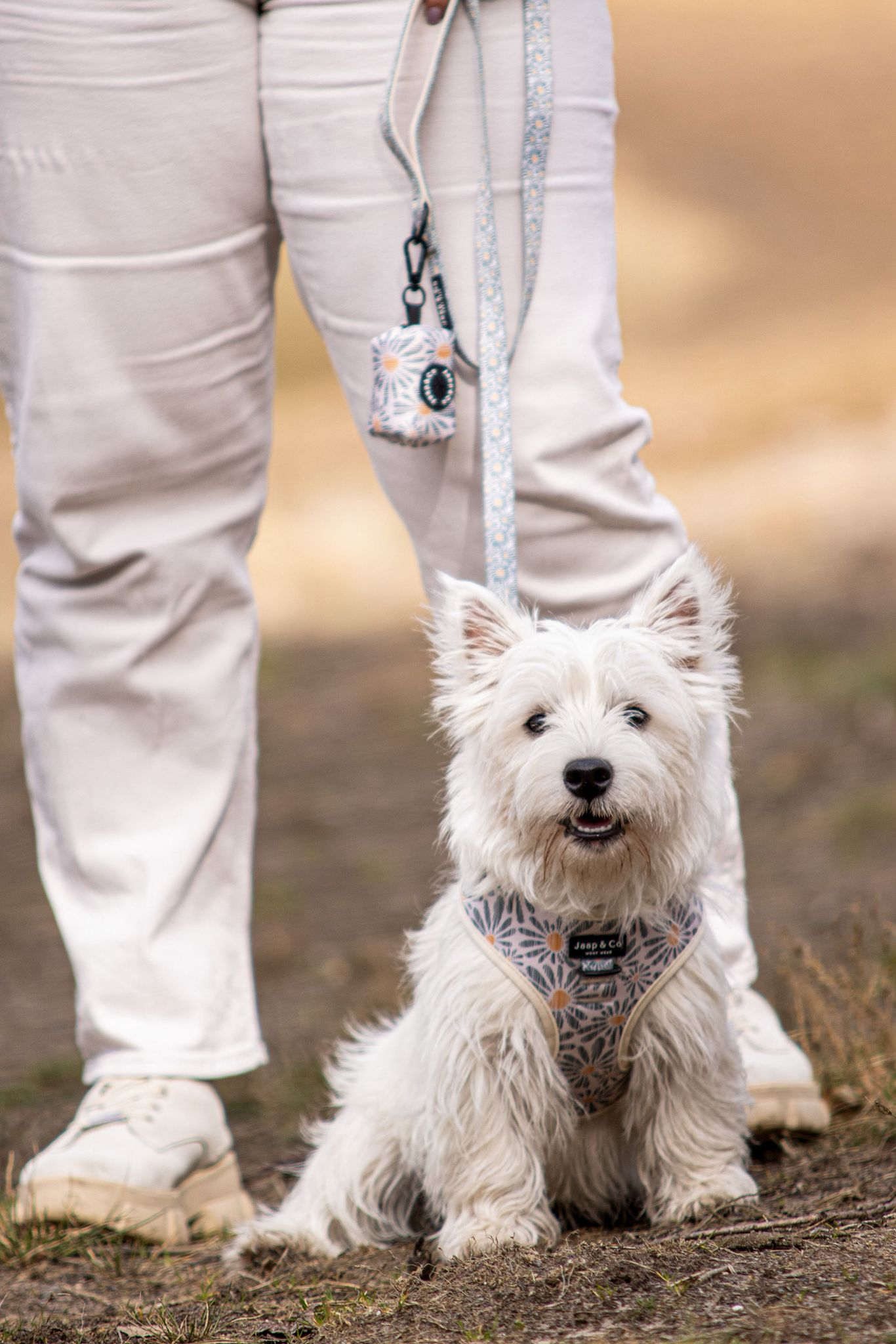 Must-have lente accessoires voor je hond | Jaap & Co Woof Wear