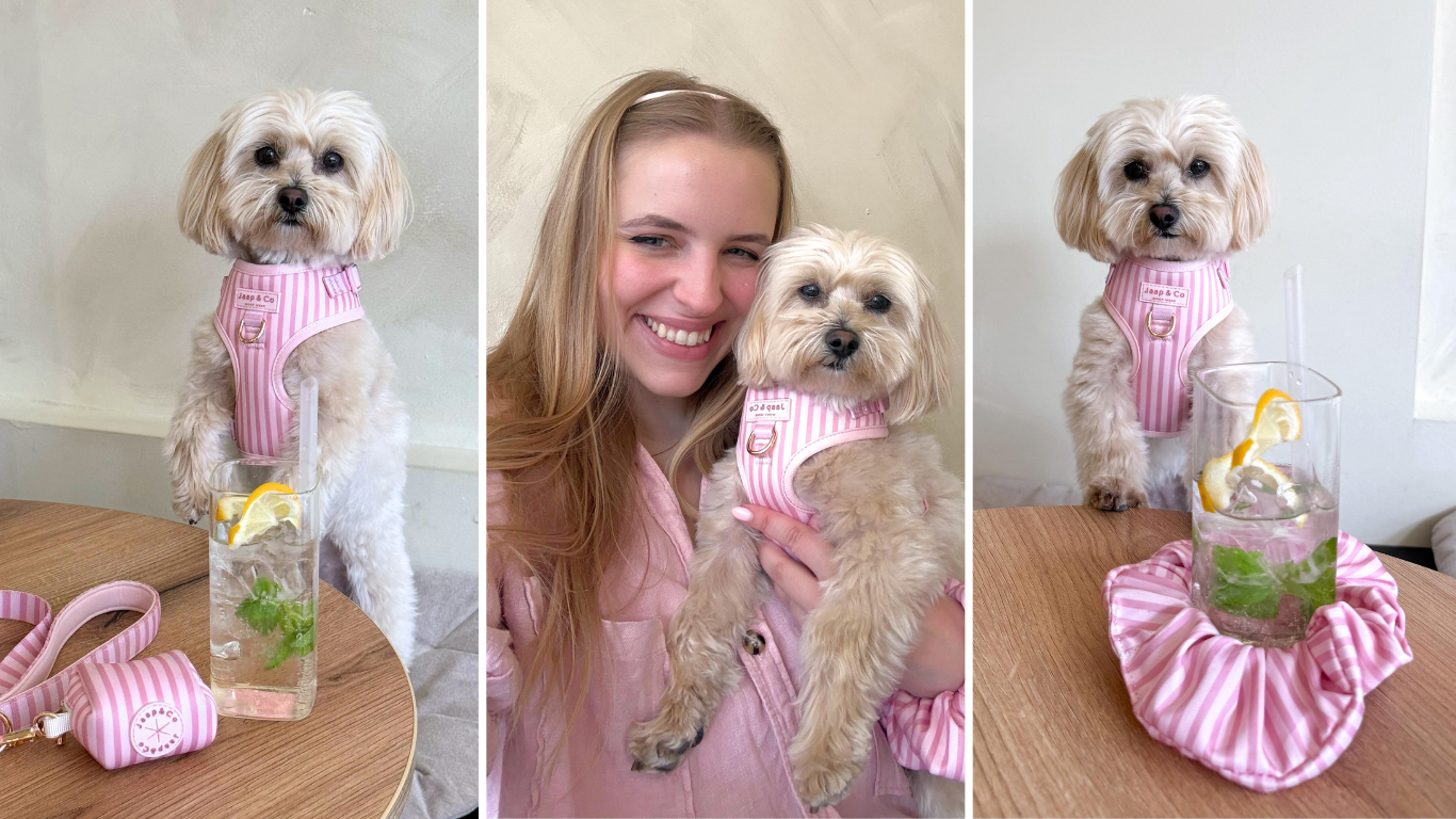 Ontdek de nieuwe Melle’s May collectie van Jaap & Co Woof Wear