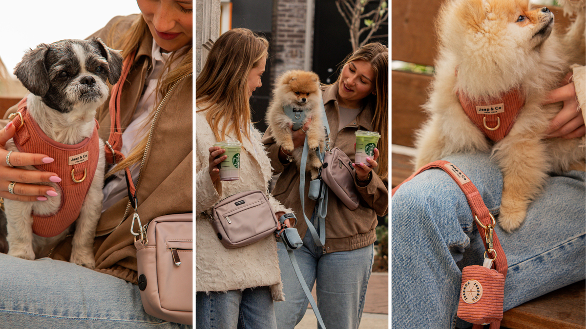 Dierendag bij Jaap & Co: een gratis verrassing voor jouw hond