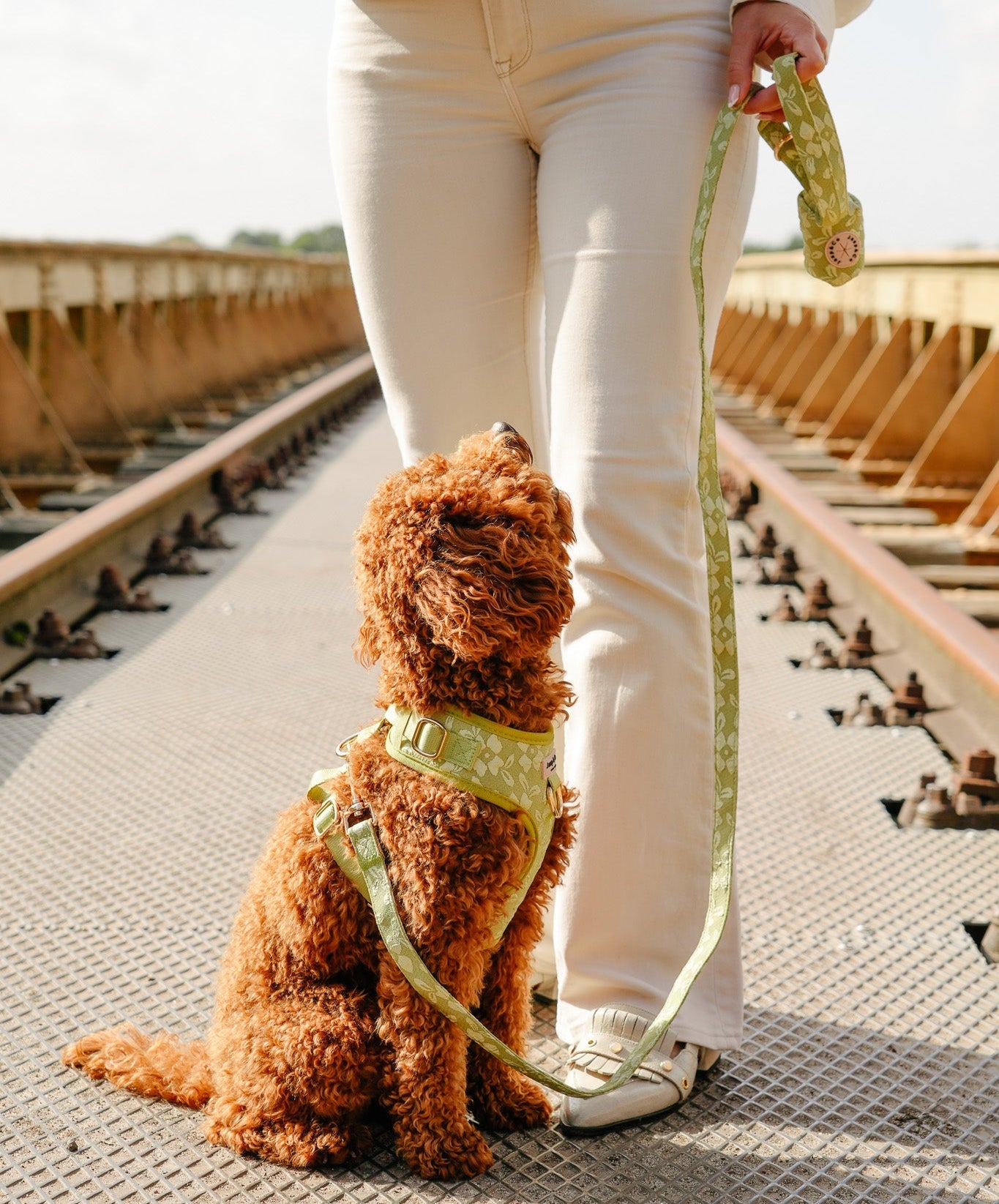 Botanical Glow Collectie - Verstelbaar Hondentuigje, Hondenriem, Hondenhalsband en Poepzakjeshouder