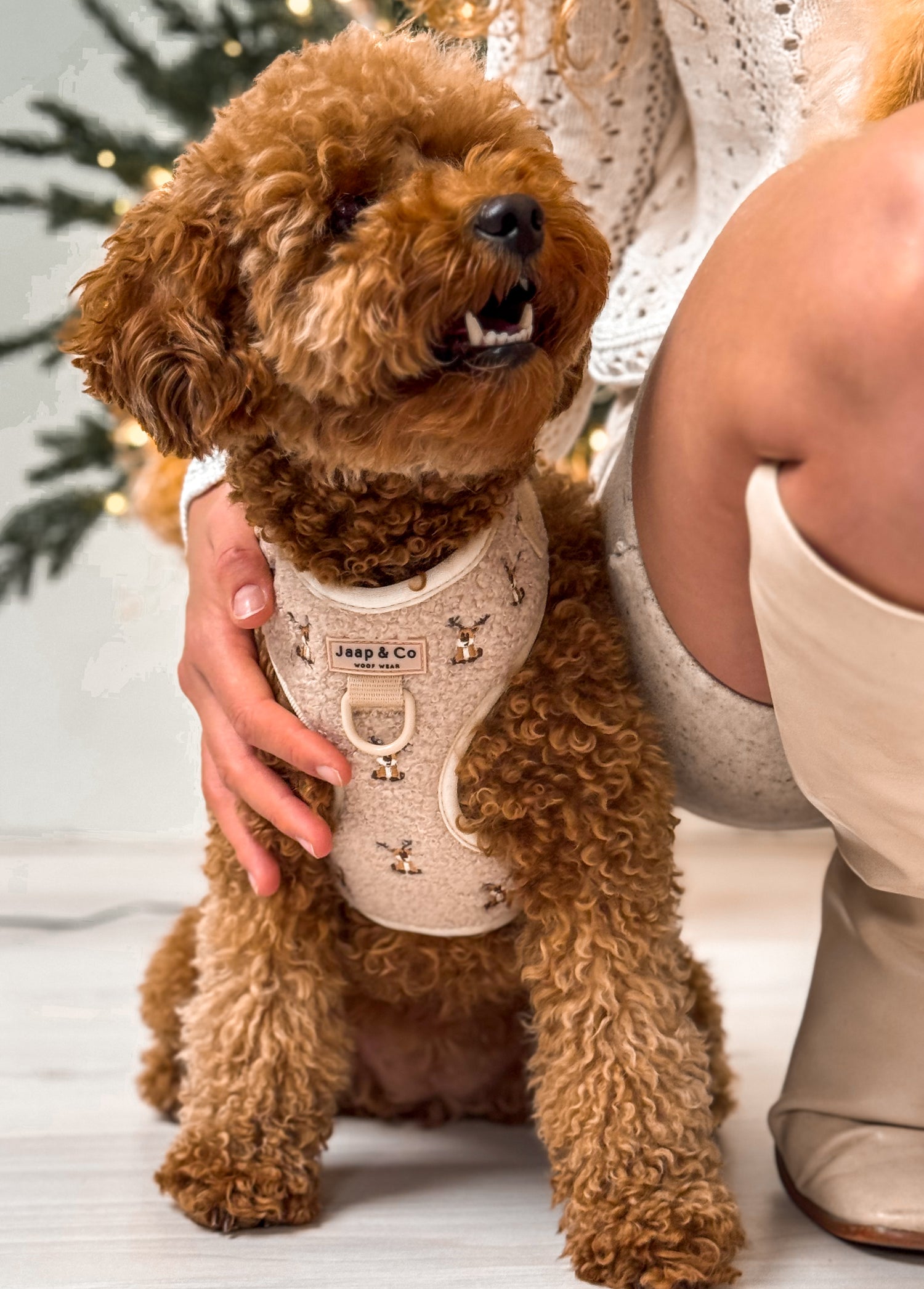 Cosy Reindeer - Hondentuigje