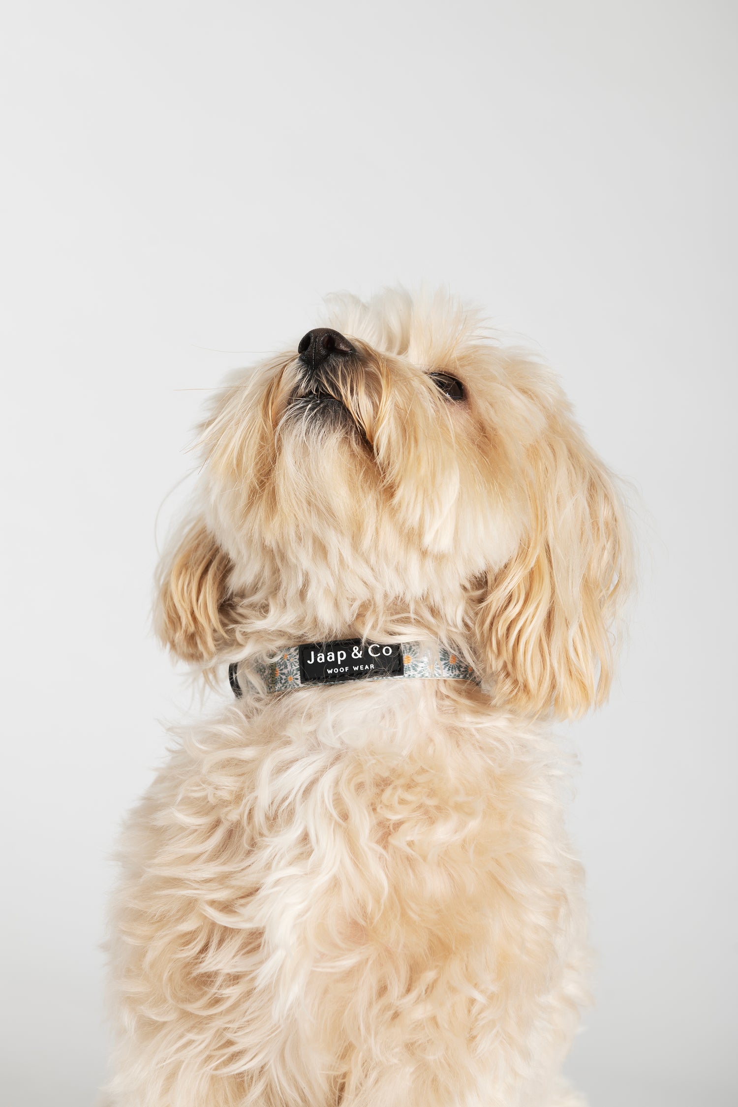 Floral Memories - Hondenhalsband