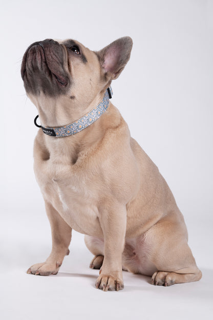 Floral Memories - Hondenhalsband