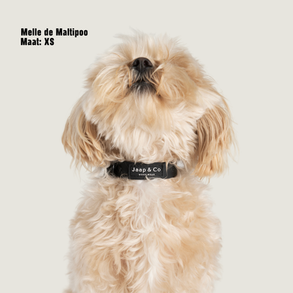 Black Paws Waterproof - Hondenhalsband