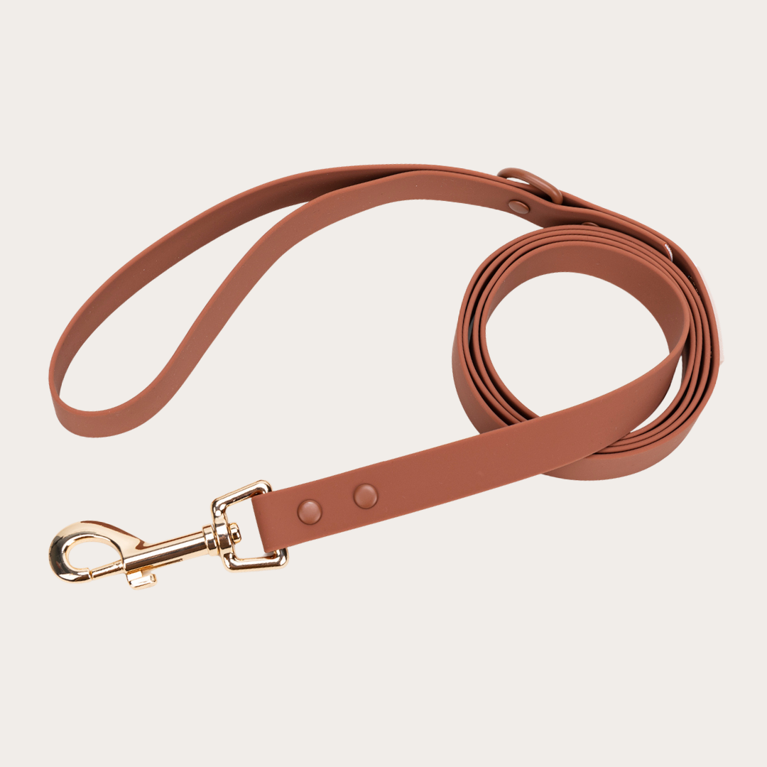 Mocha Mousse Waterproof - Hondenriem