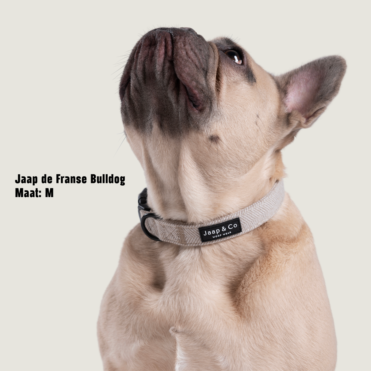 Classic Beige - Hondenhalsband