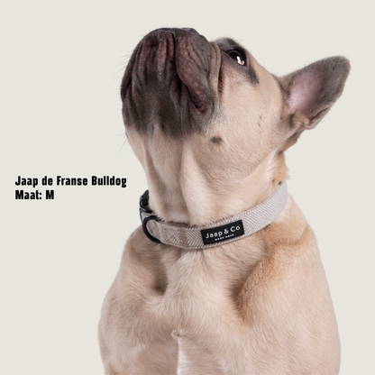 Classic Beige - Hondenhalsband
