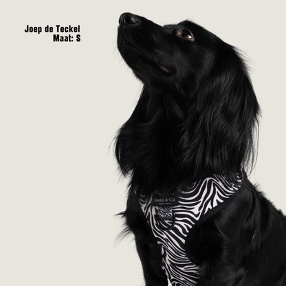 Zebra Chic - Hondentuigje