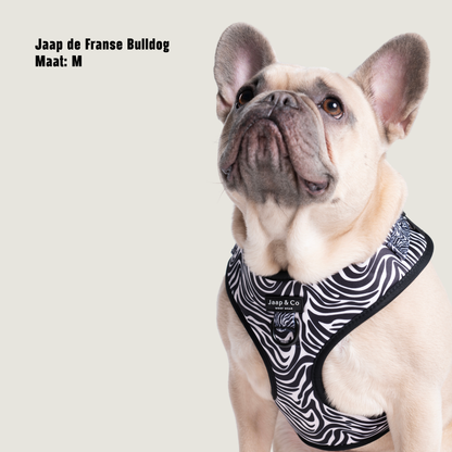 Zebra Chic - Hondentuigje