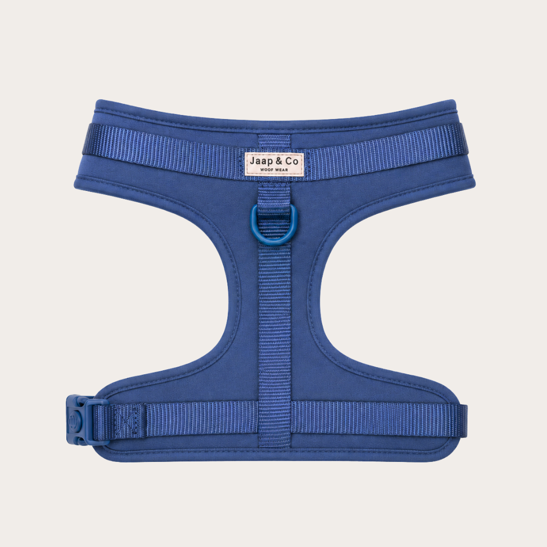 Bold Blue Waterproof - Hondentuigje