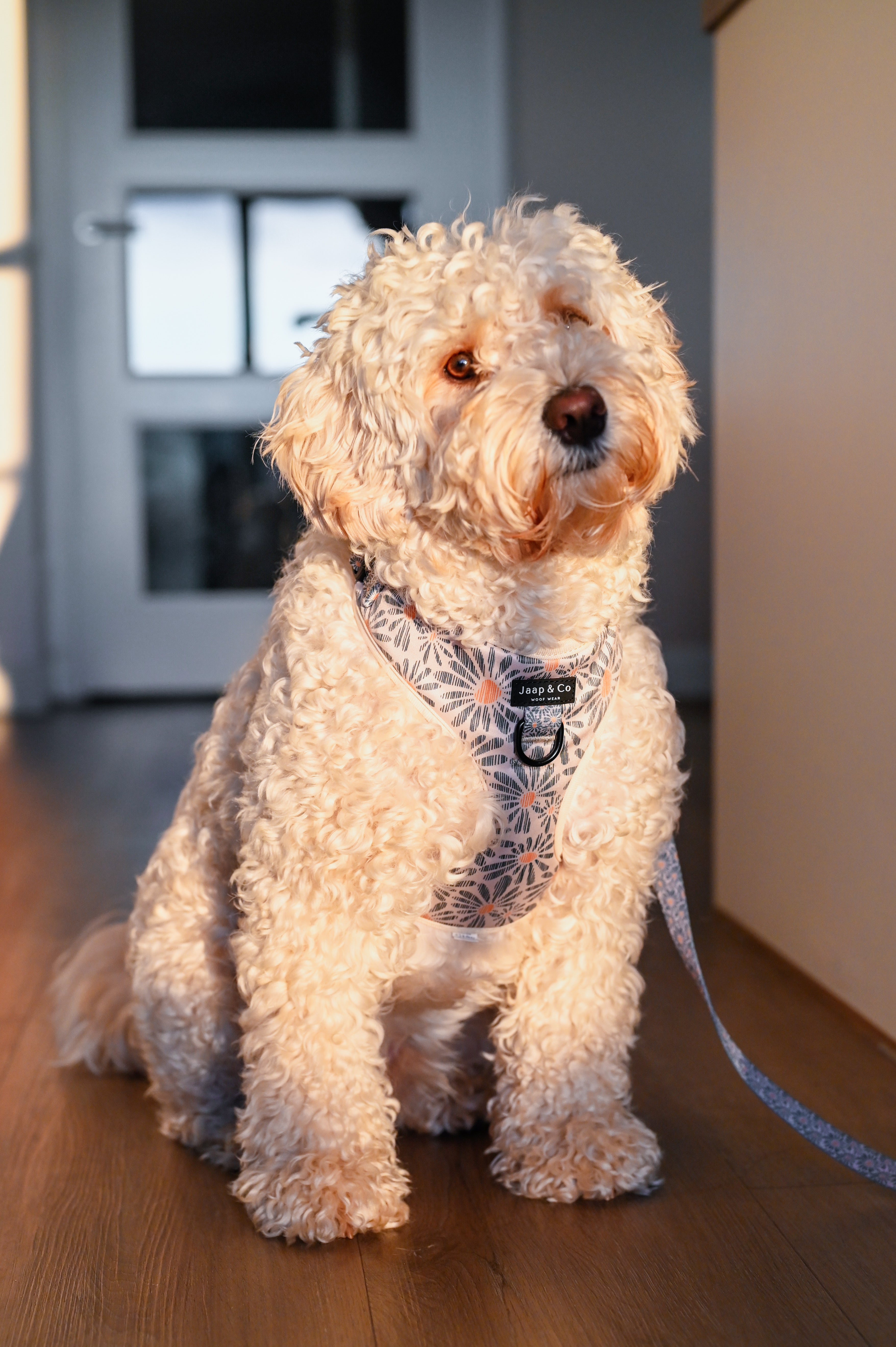 Floral Memories - Set Tuigje