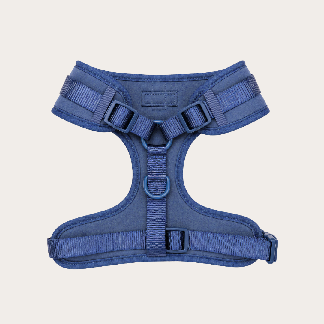 Bold Blue Waterproof - Hondentuigje