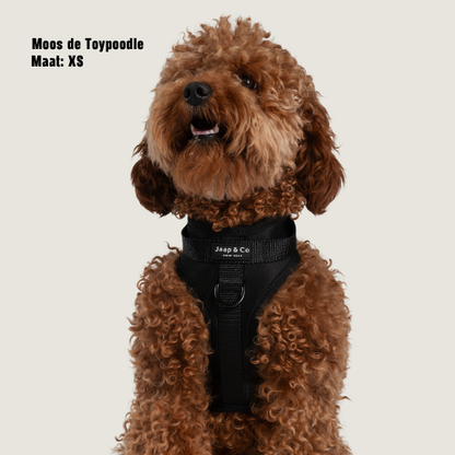 Black Paws Waterproof - Hondentuigje