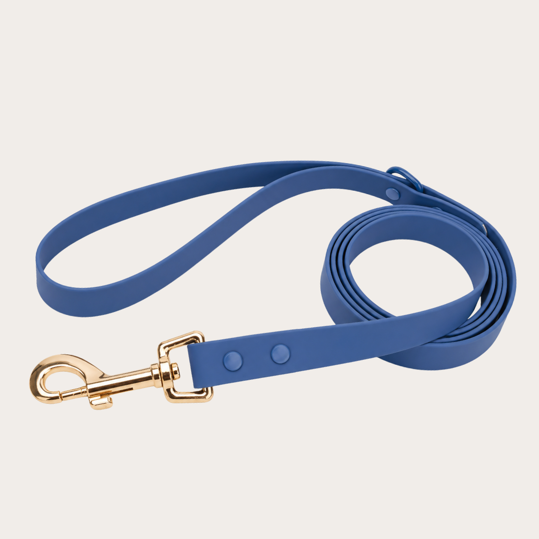 Bold Blue Waterproof - Hondenriem