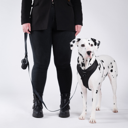 Black Paws Waterproof - Hondentuigje