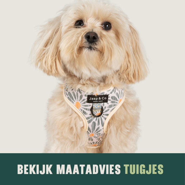 Maatadvies Tuigjes