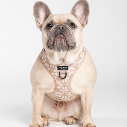 Blush Elegance Bundel: Hondentuigje, Hondenriem, Hondenhalsband en Poepzakjeshouder
