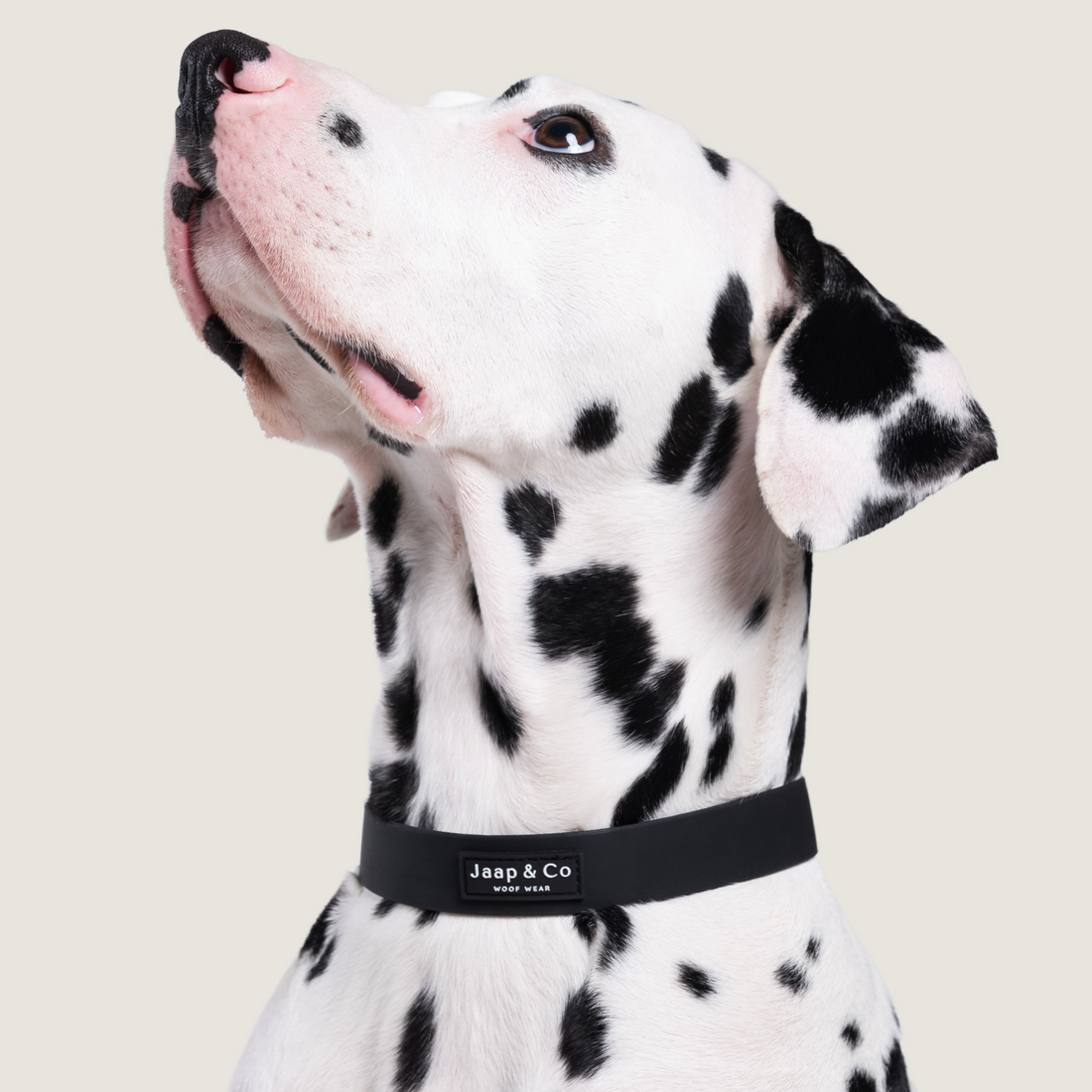 Black Paws Waterproof - Hondenhalsband