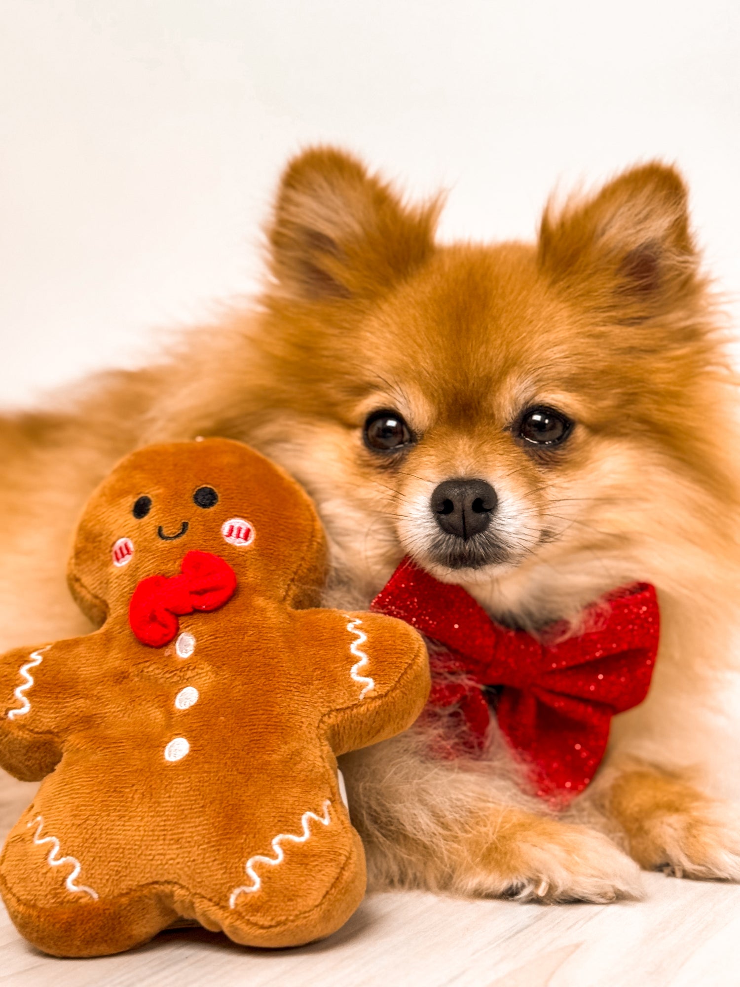 Gingerbread Cookie Hondenspeeltje