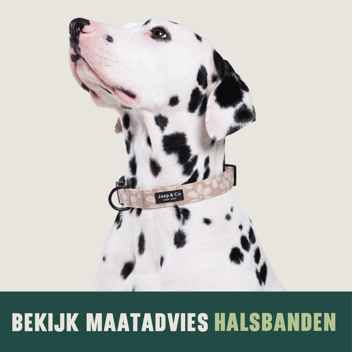 Maatadvies Halsbanden