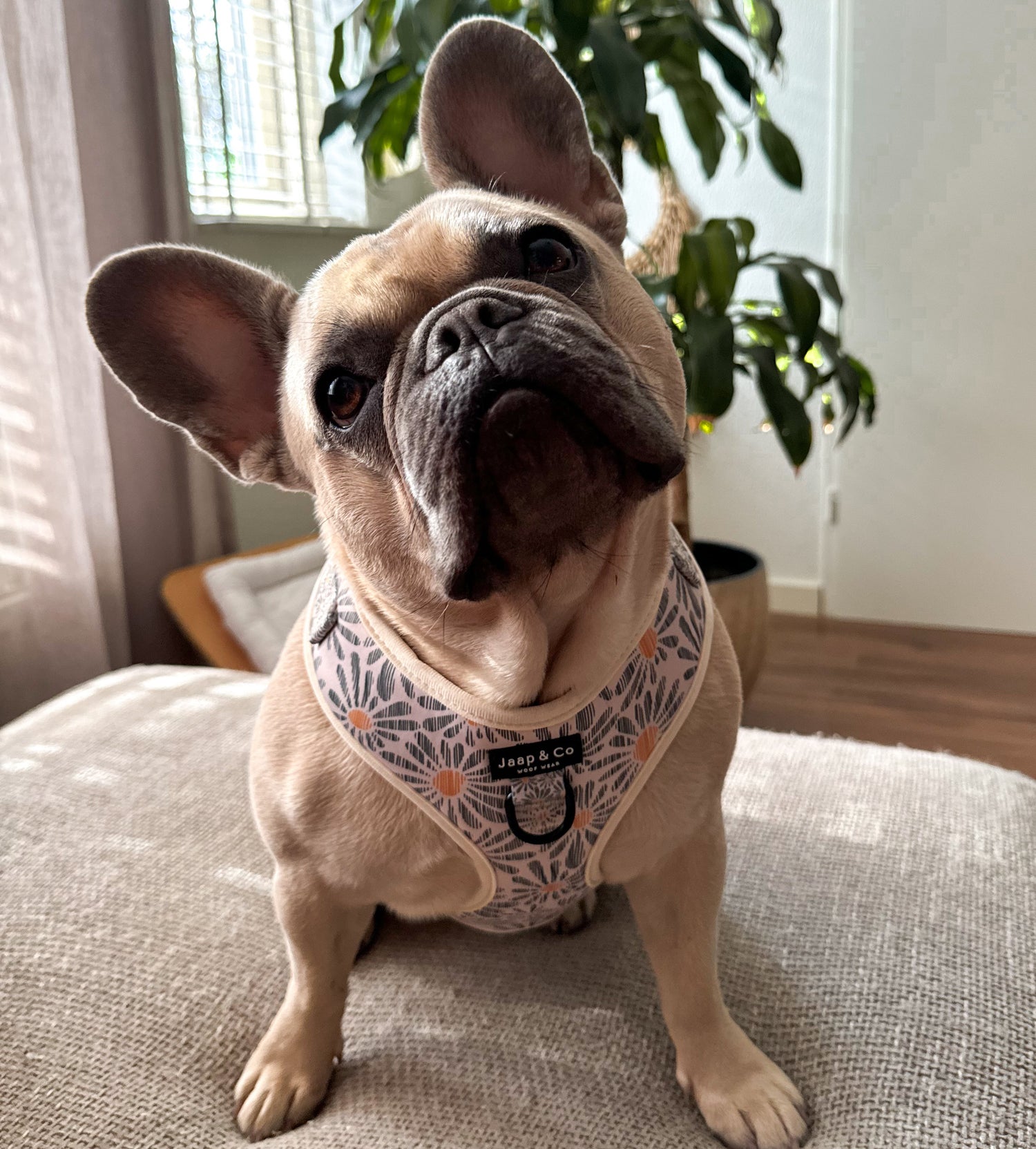 Floral Memories - Hondentuig