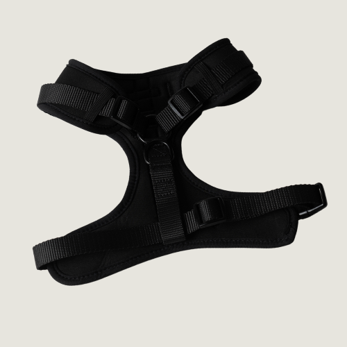 Black Paws Waterproof - Hondentuigje