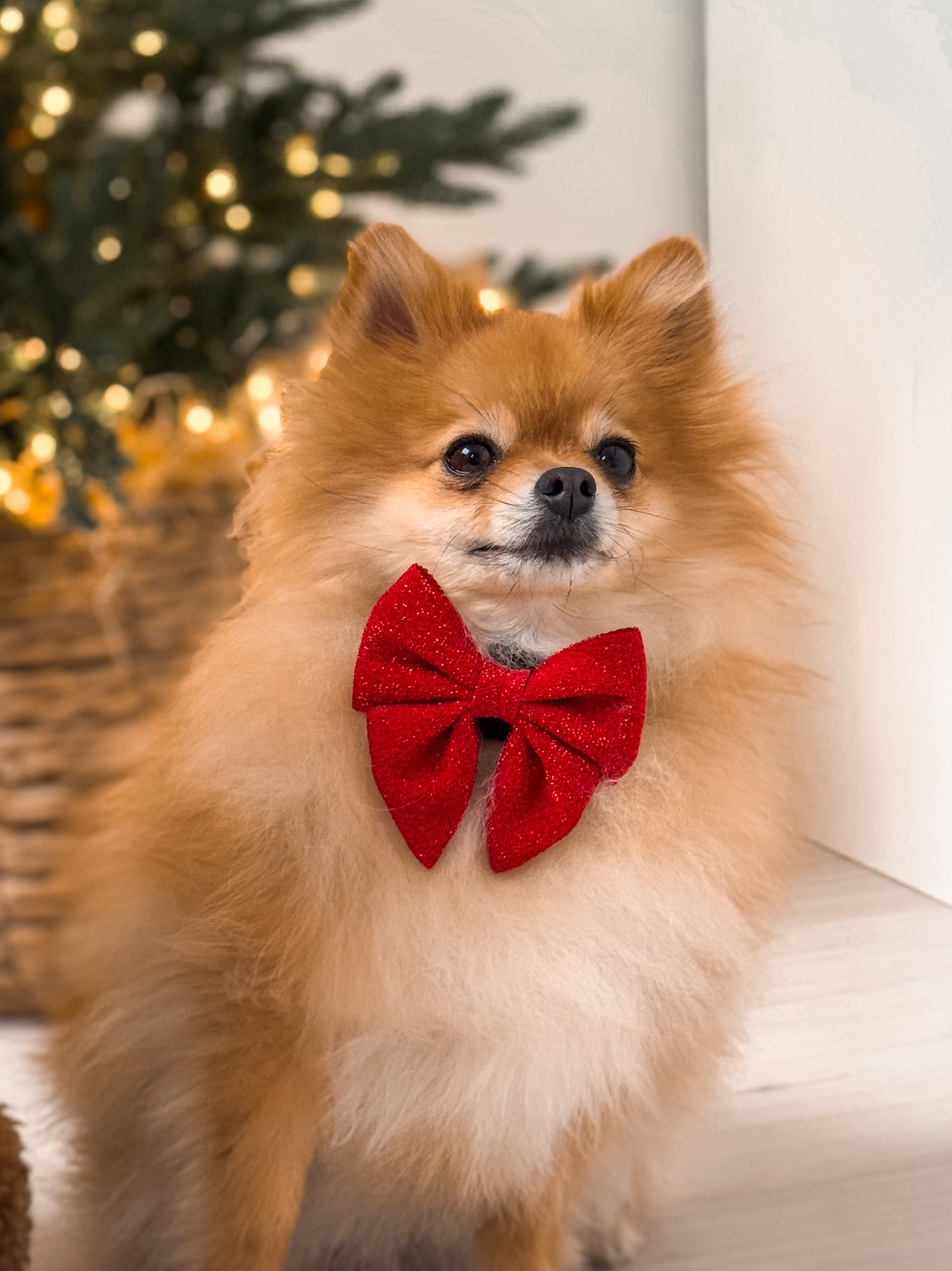 Bow Tie Merry Moments