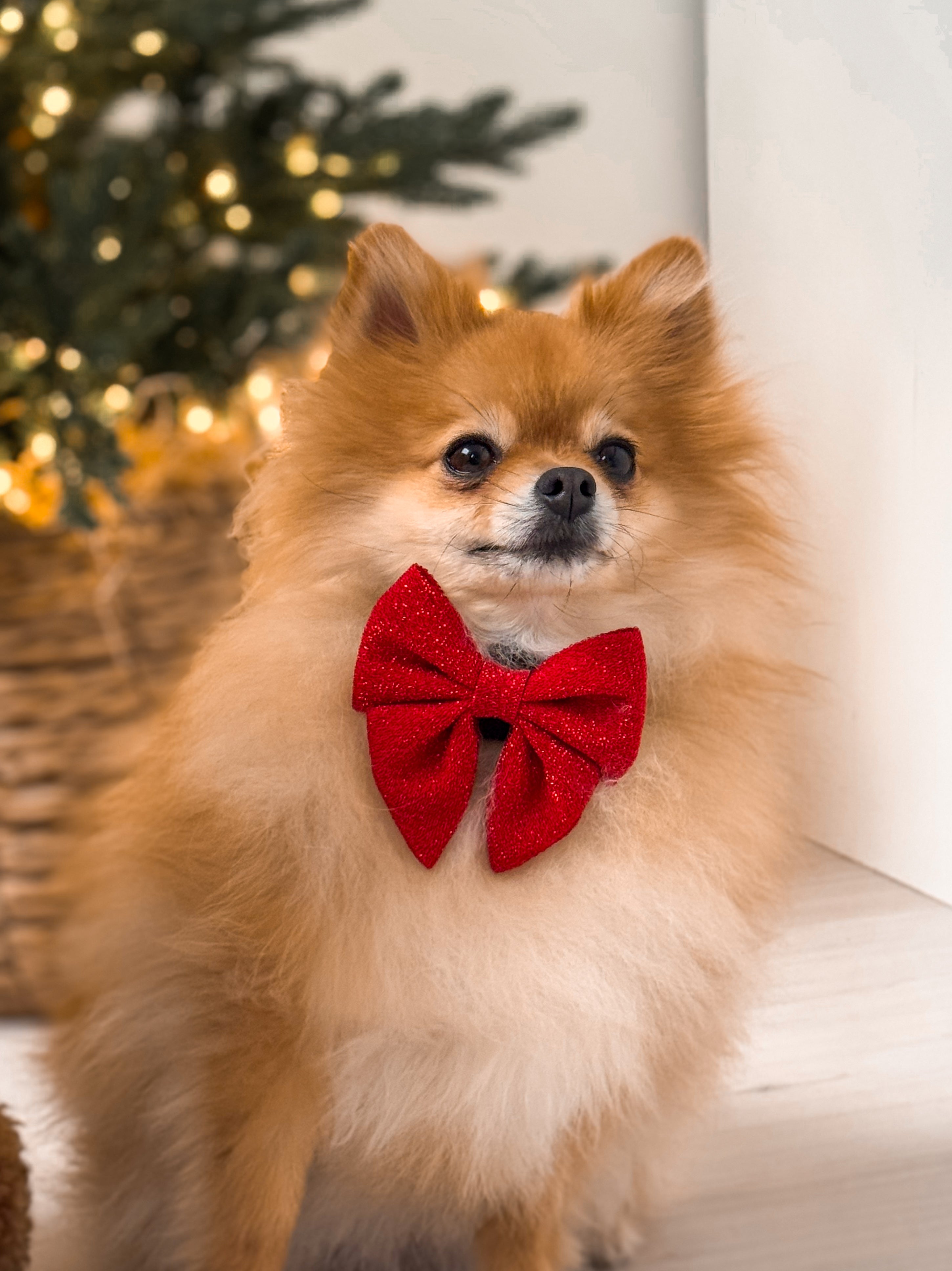 Bow Tie Merry Moments