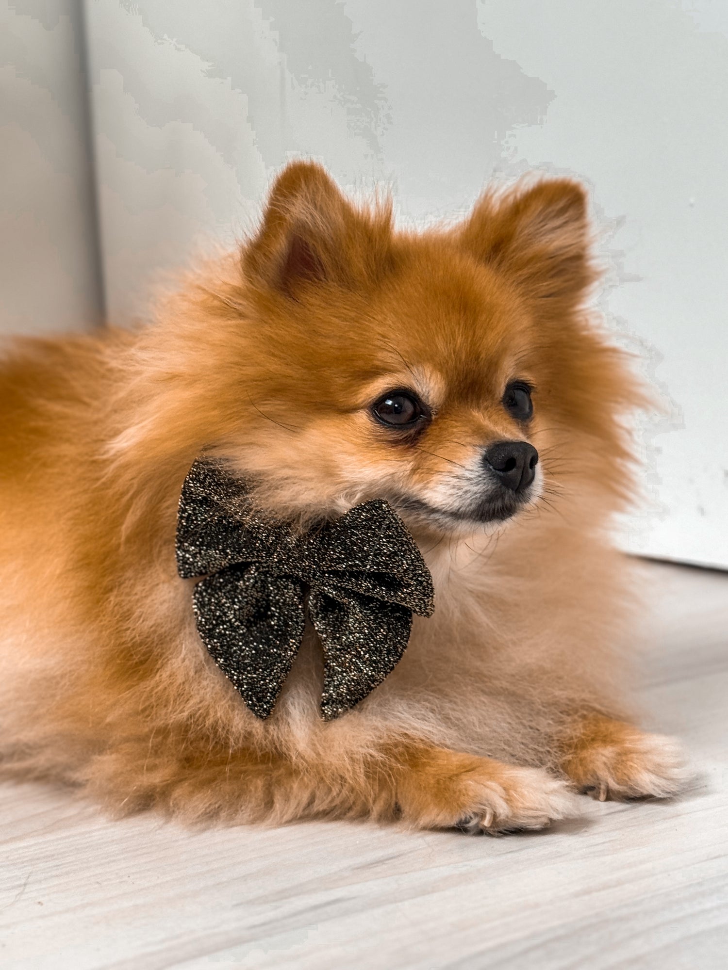 Bow Tie New Year Spark