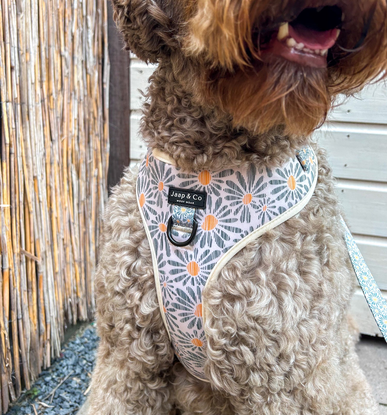 Floral Memories - Hondentuig