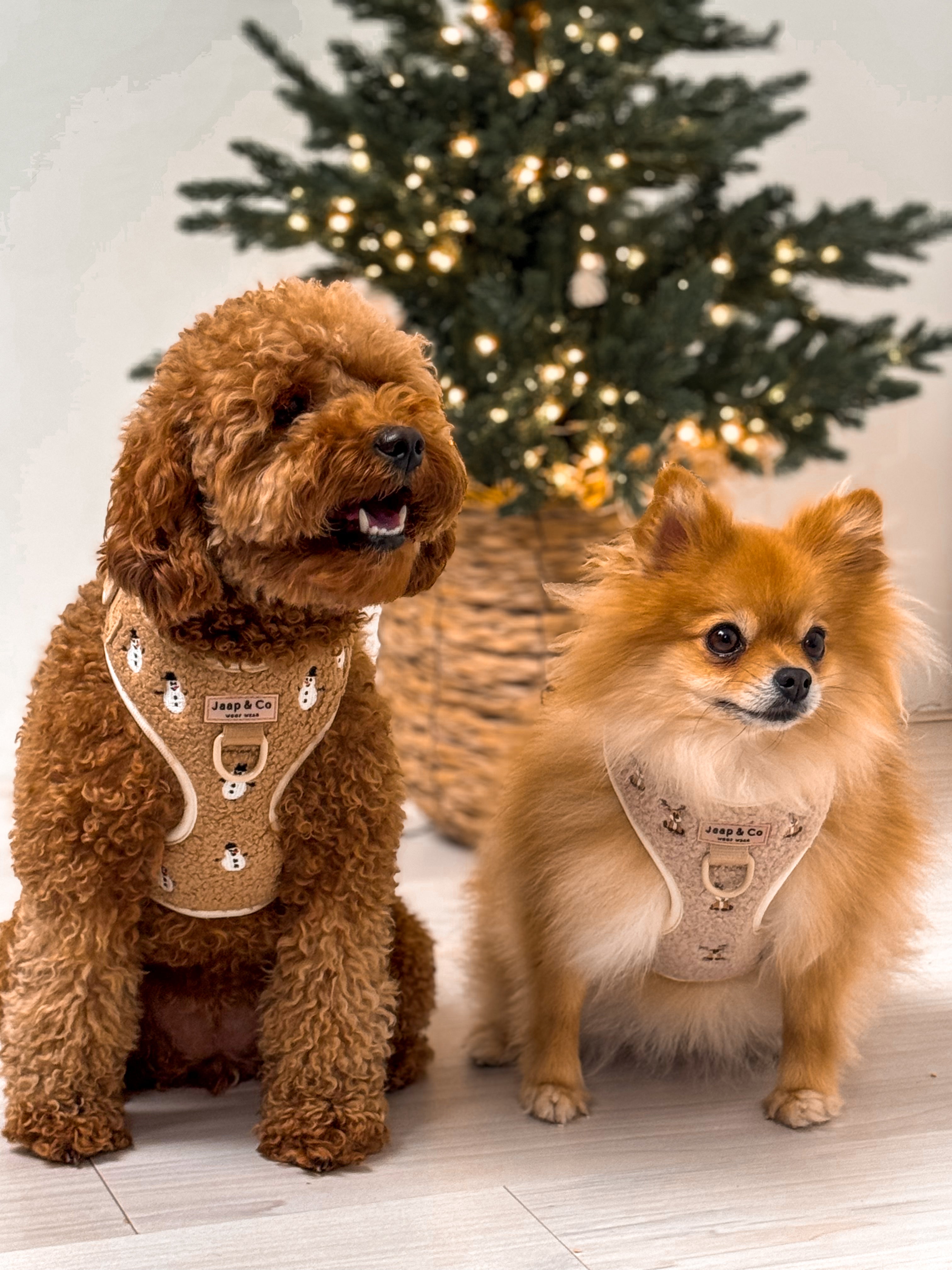 Cosy Reindeer - Hondentuigje