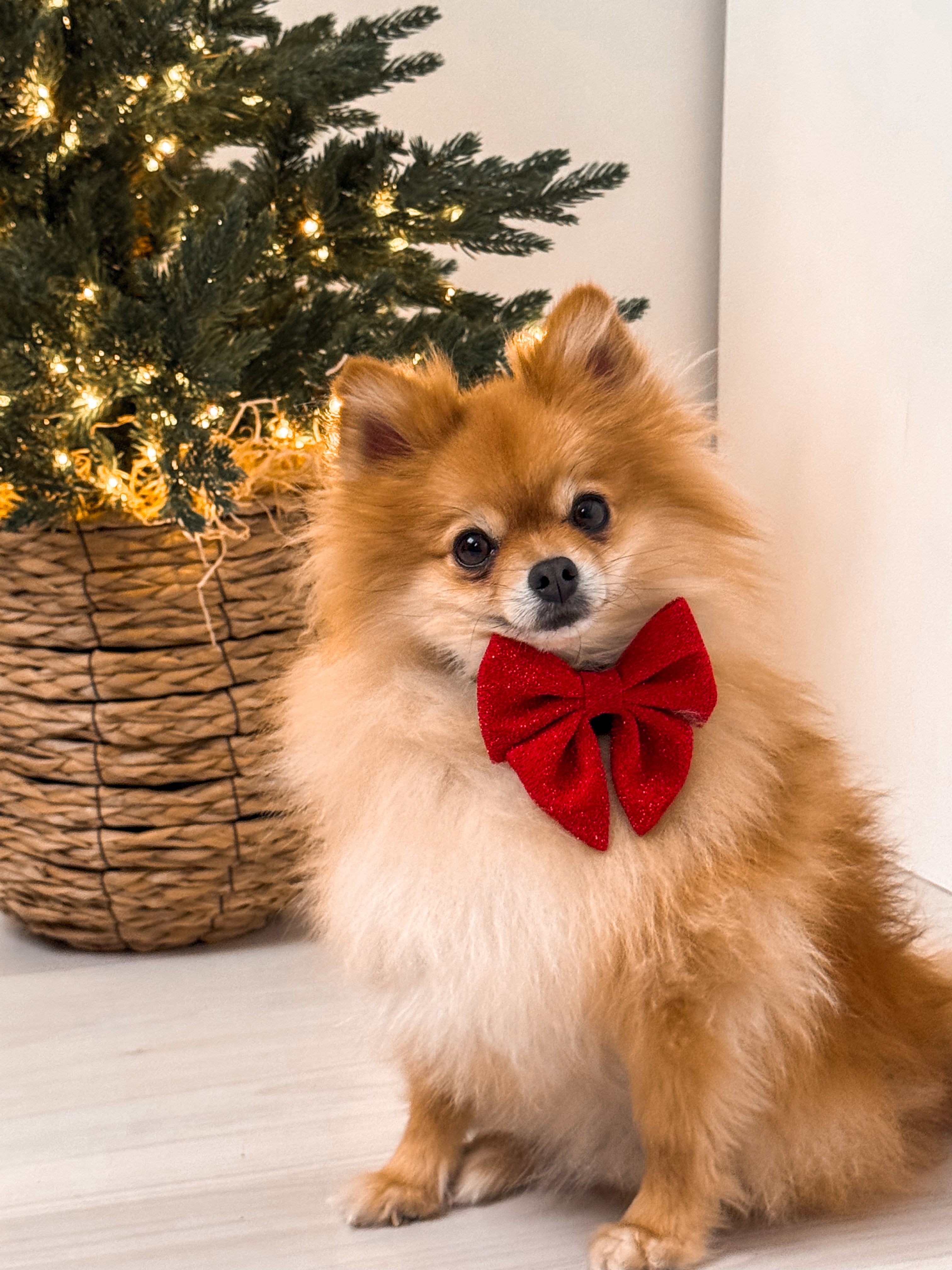 Bow Tie Merry Moments