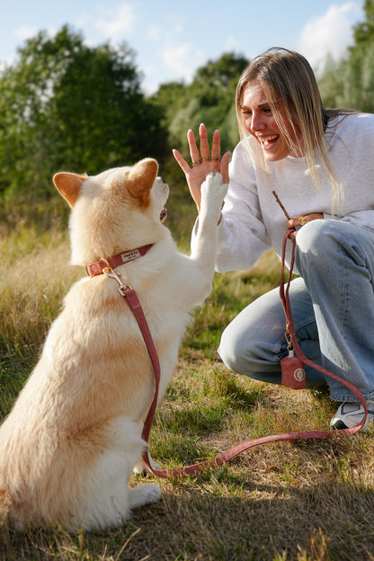 Vrouw wandelt met haar hond aan de koraalkleurige corduroy riem uit de Jaap &amp; Co Golden Trails collectie, inclusief poepzakjeshouder en goudkleurige metalen details, in warm nazomerlicht.