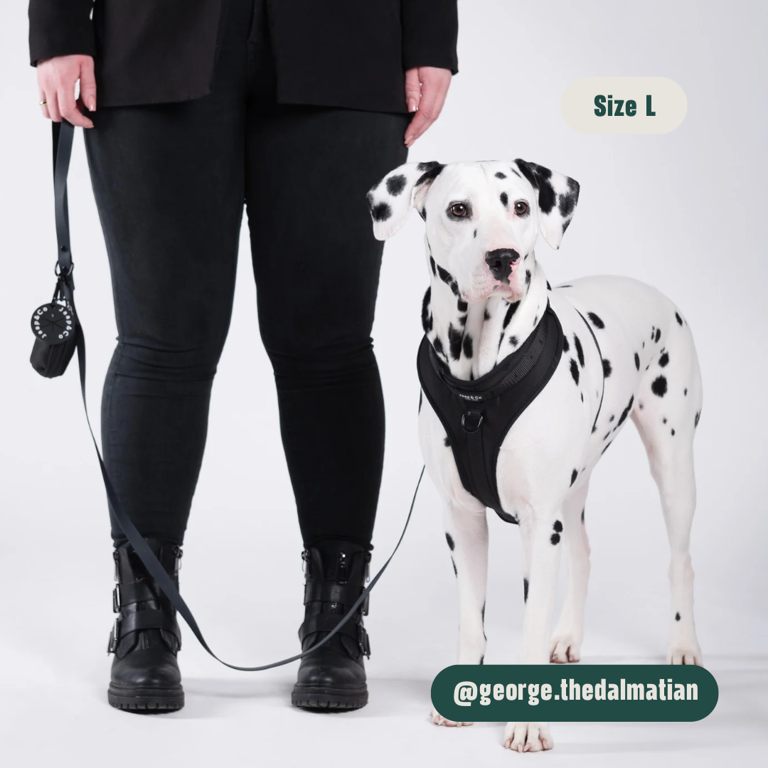 Black Paws Waterproof - Set Tuigje