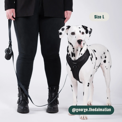 Black Paws Waterproof - Set Tuigje