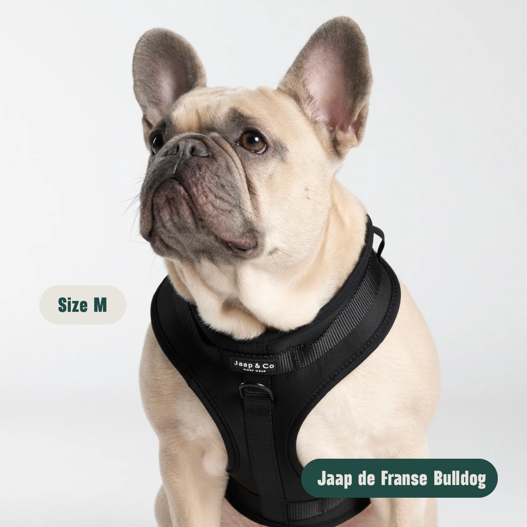 Black Paws Waterproof - Set Tuigje