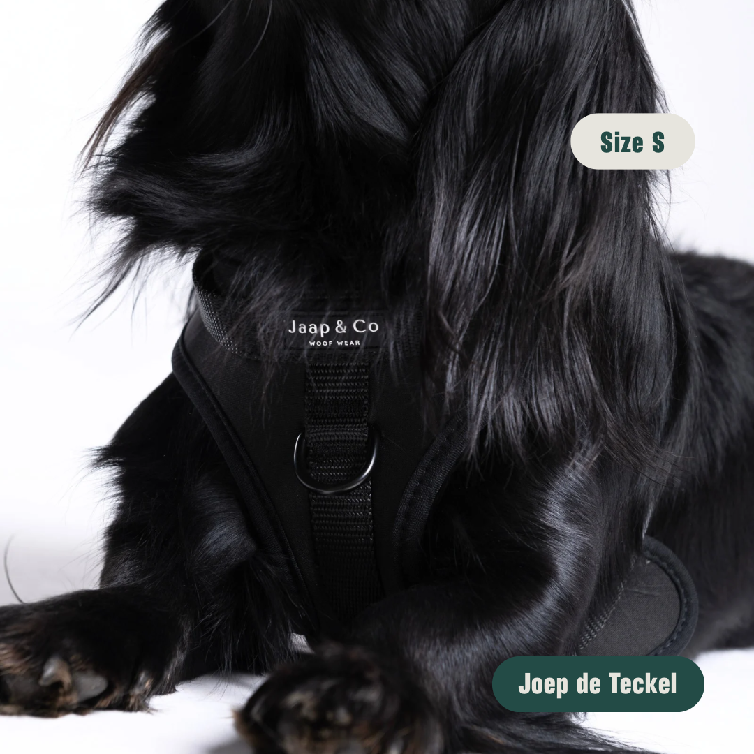 Black Paws Waterproof - Set Tuigje