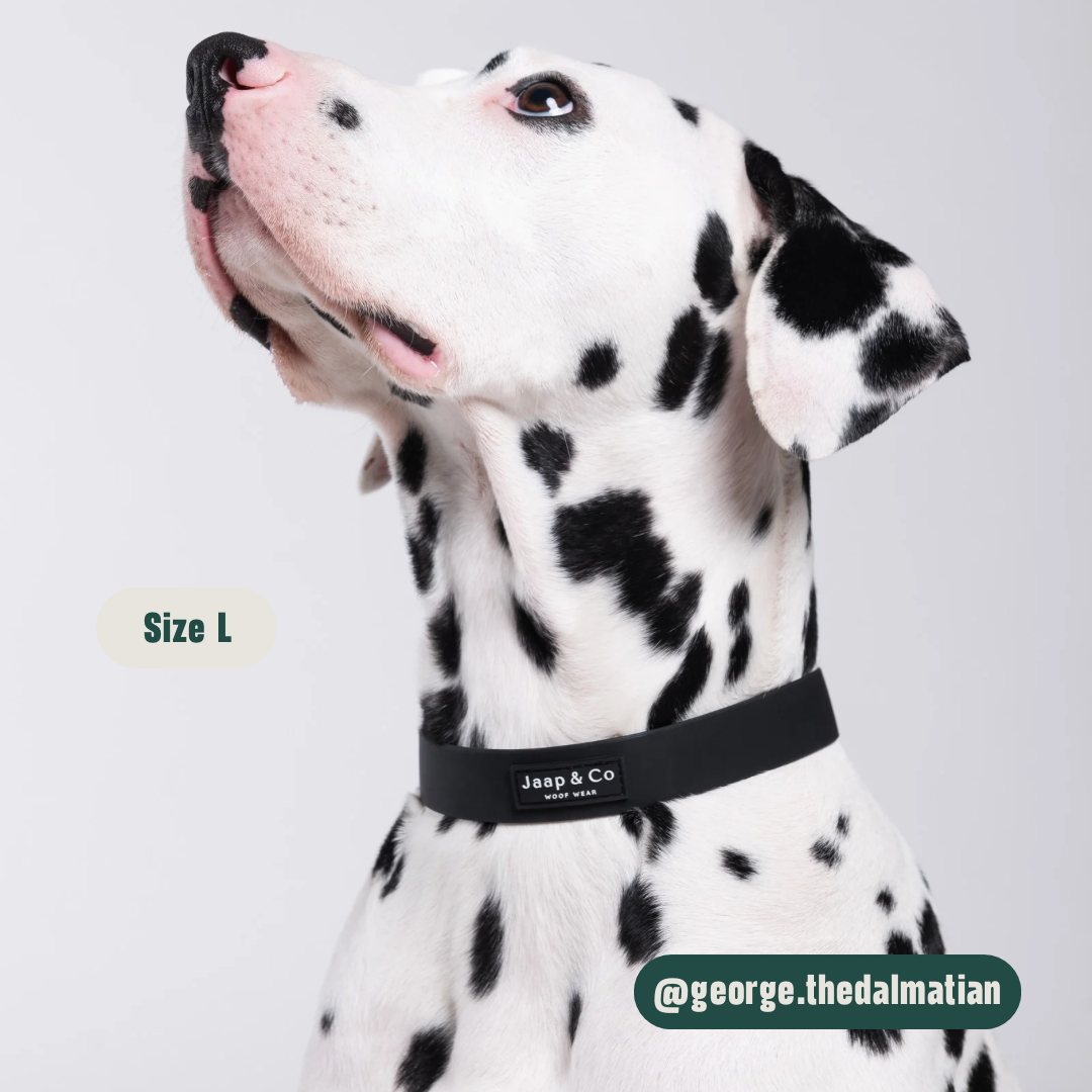 Black Paws Waterproof - Dog Collar