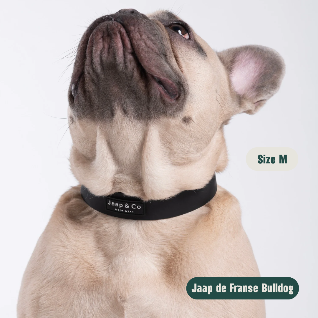 Black Paws Waterproof - Dog Collar